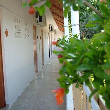 George'S Apartment Agia Marina  Phòng bức ảnh