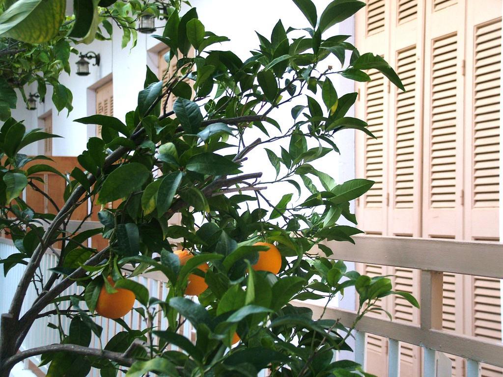 George'S Apartment Agia Marina  Phòng bức ảnh